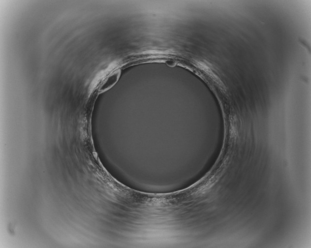 X0000102041357200807251404