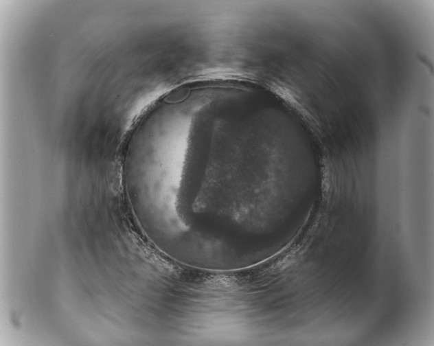 X0000102041358200807251404