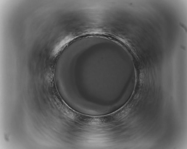 X0000102041359200807251404