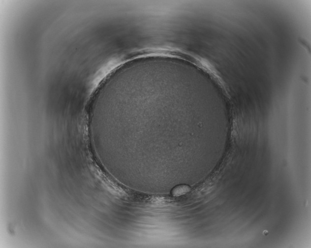 X0000102041360200807251404