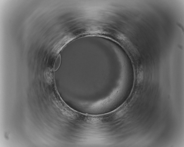 X0000102041361200807251404