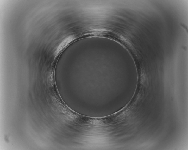 X0000102041362200807251404