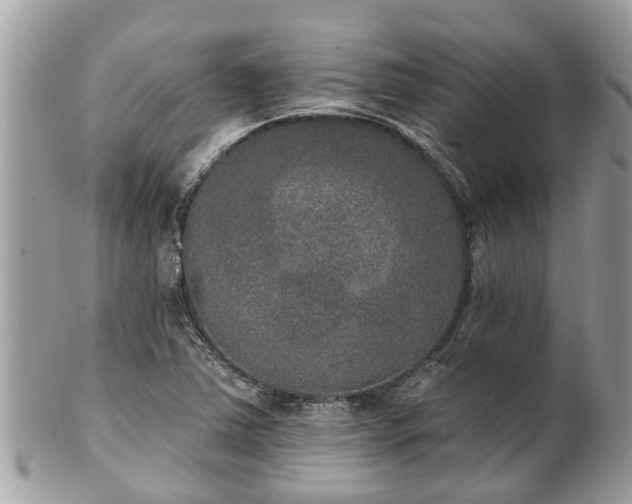 X0000102041363200807251404