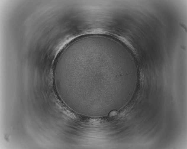 X0000102041364200807251404