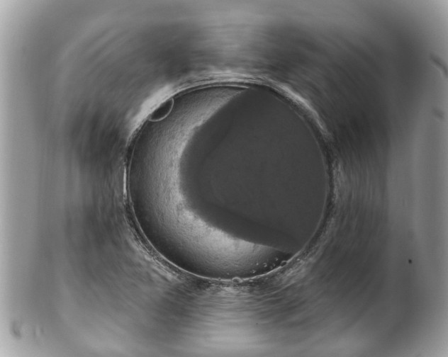 X0000102041365200807251404