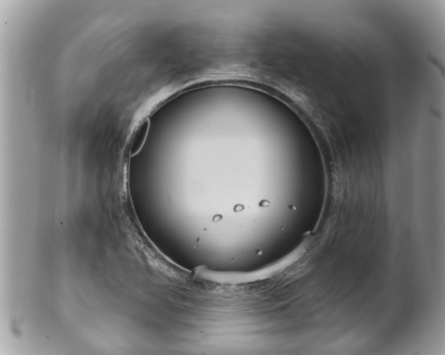 X0000102041366200807251404