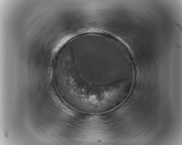 X0000102041367200807251404