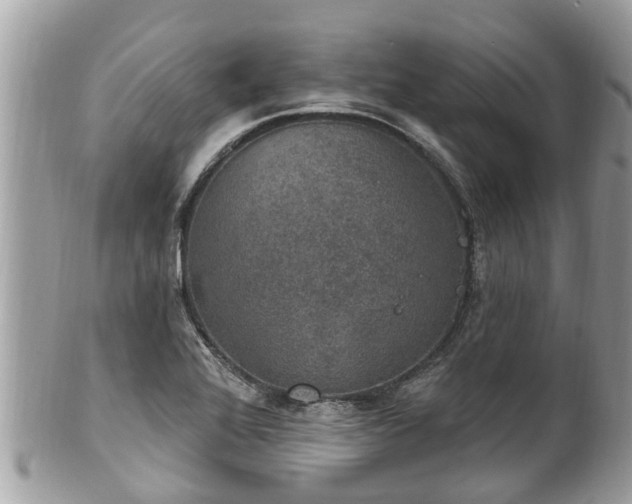 X0000102041368200807251404