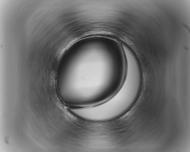 X0000102041369200807251404