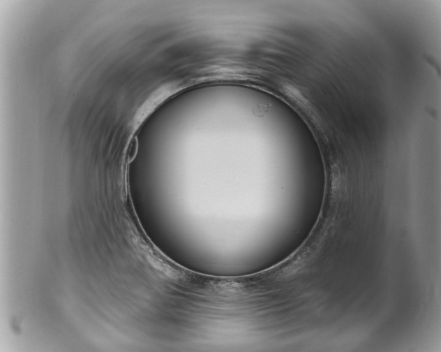 X0000102041370200807251404