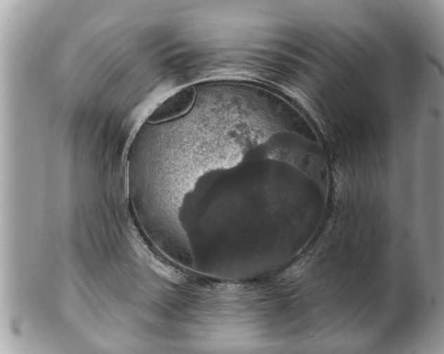 X0000102041371200807251404