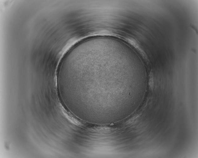 X0000102041372200807251404