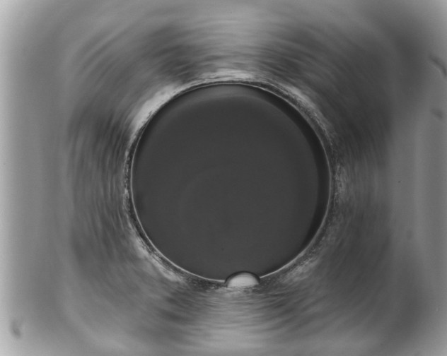 X0000102041373200807251404