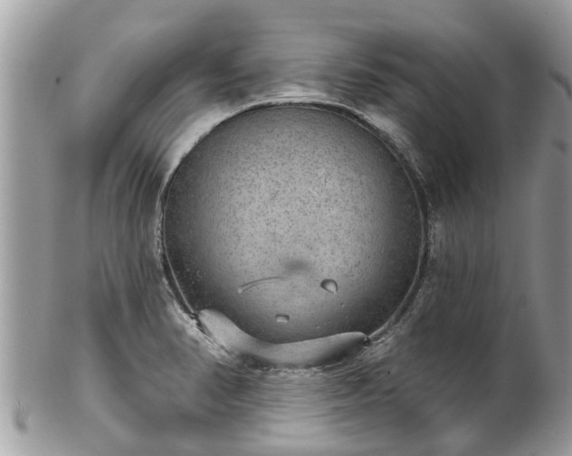 X0000102041374200807251404