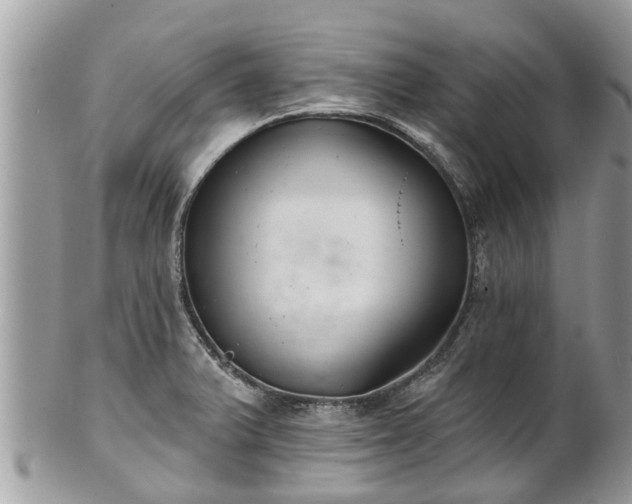 X0000102041375200807251404