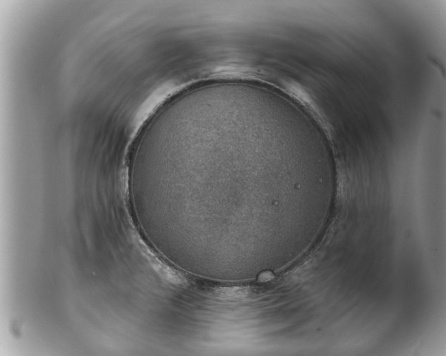 X0000102041376200807251404