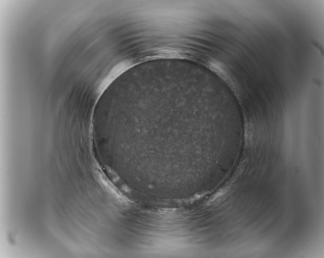 X0000102041378200807251404