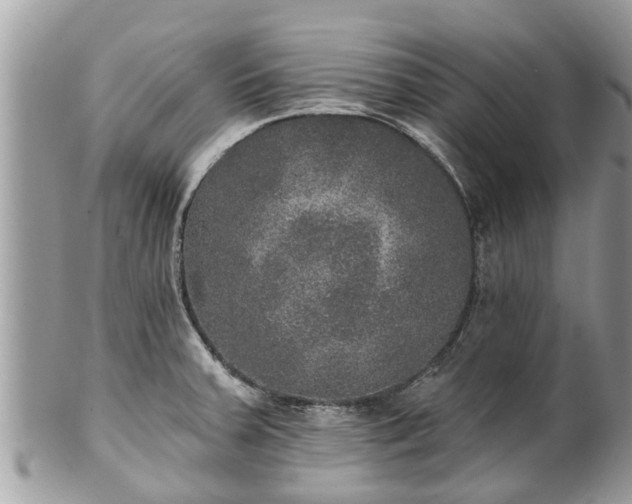 X0000102041379200807251404