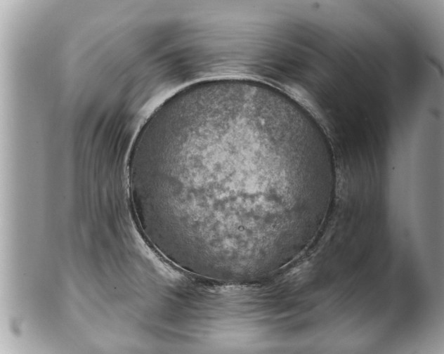 X0000102041380200807251404