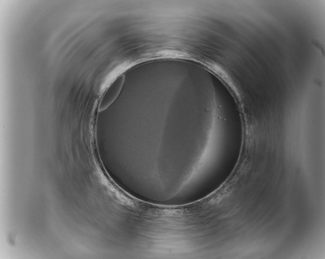 X0000102041381200807251404