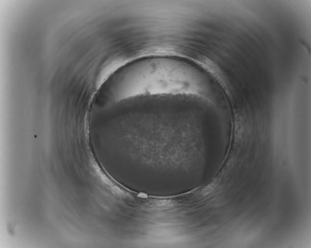 X0000102041382200807251404