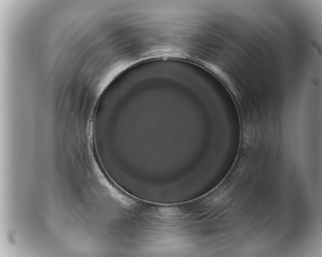 X0000102041383200807251404