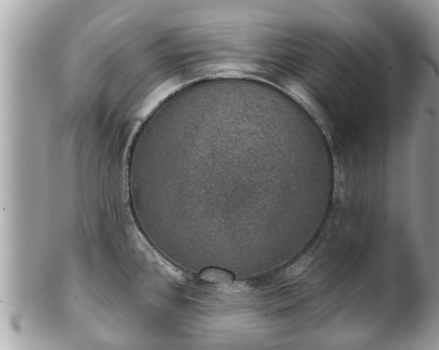 X0000102041384200807251404