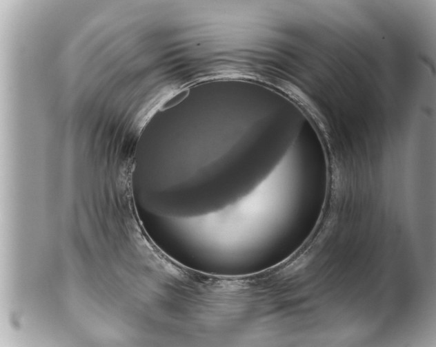 X0000102041385200807251404