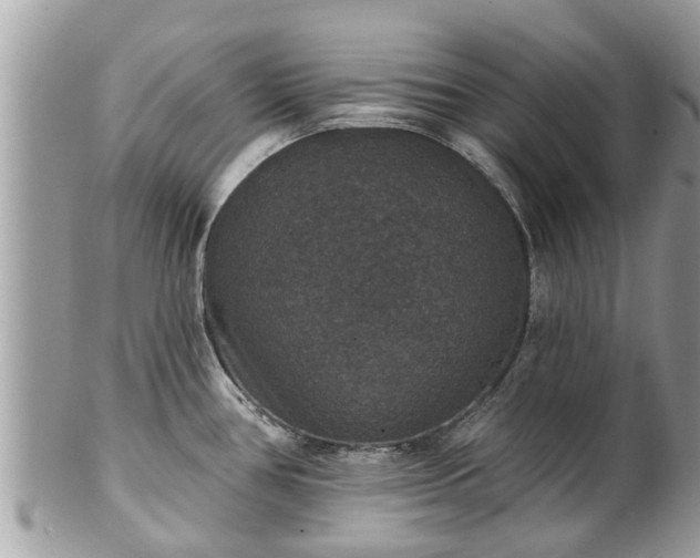 X0000102041386200807251404