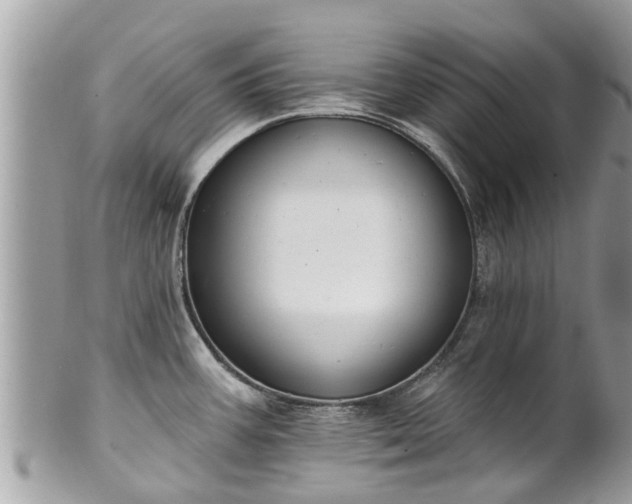 X0000102041387200807251404