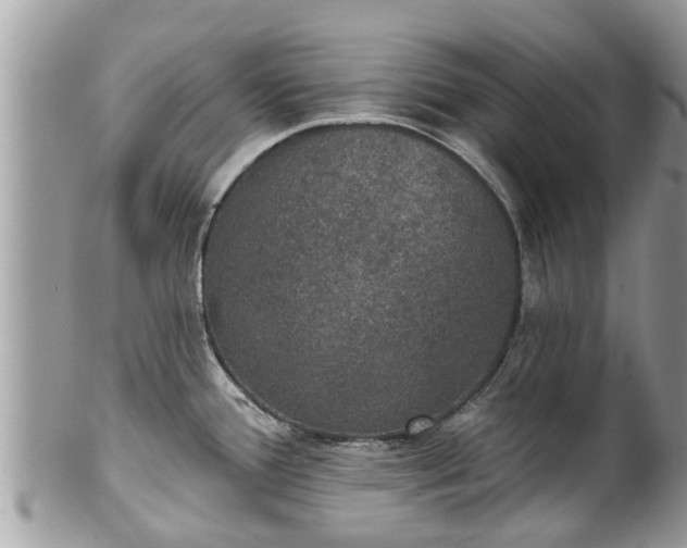 X0000102041388200807251404