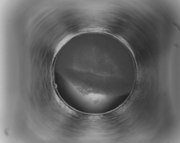 X0000102041389200807251404