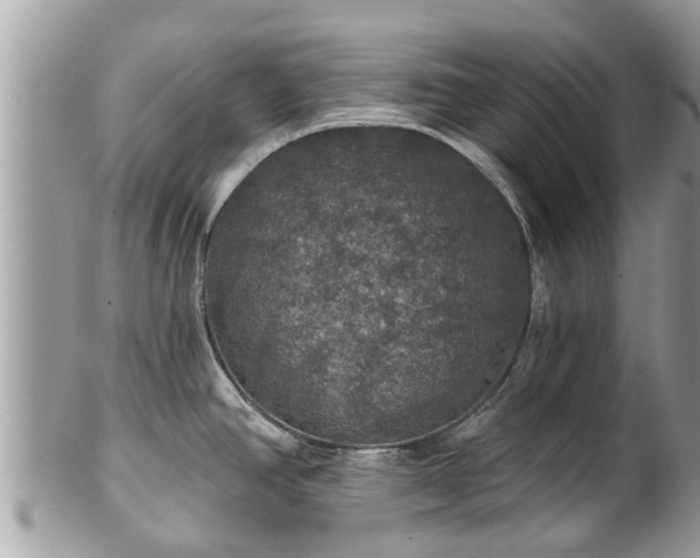 X0000102041390200807251404