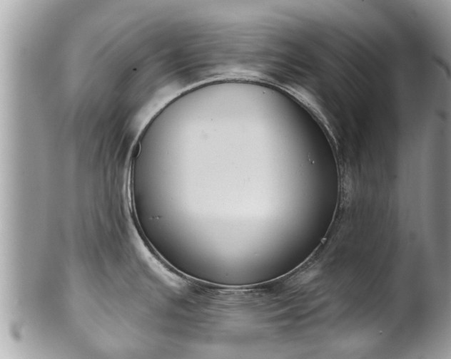 X0000102041391200807251404