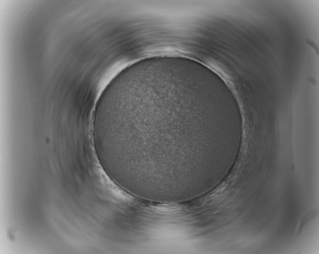 X0000102041392200807251404