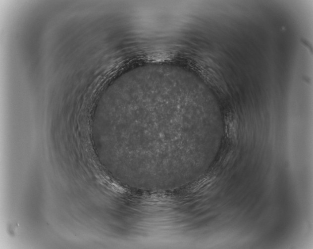 X0000102041393200807251403