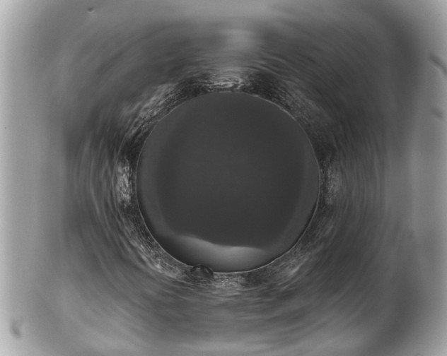 X0000102041394200807251403