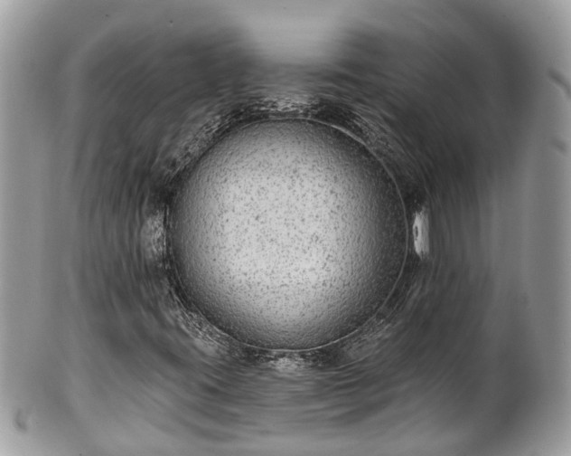 X0000102041395200807251403