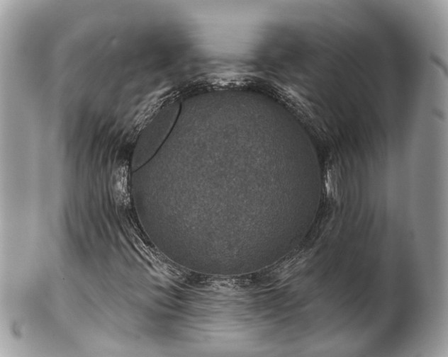 X0000102041396200807251403