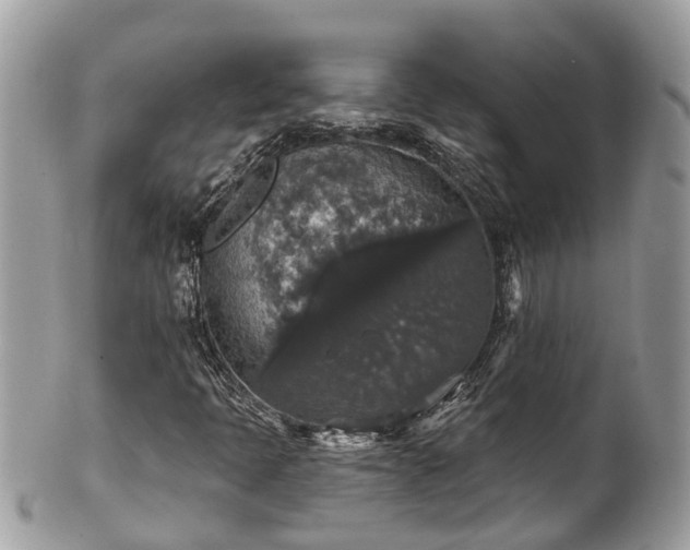 X0000102041397200807251403