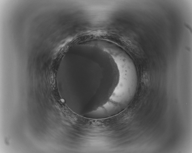 X0000102041398200807251403