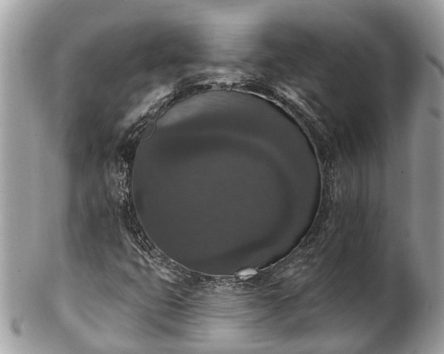 X0000102041399200807251403