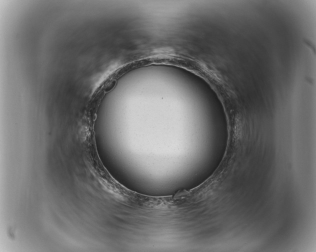 X0000102041400200807251403