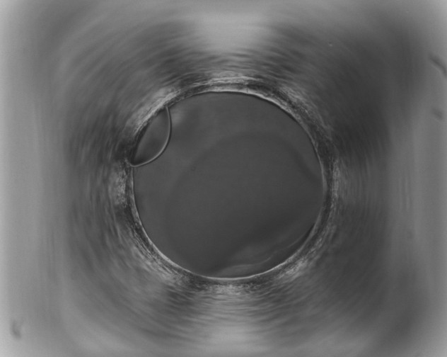 X0000102041401200807251403