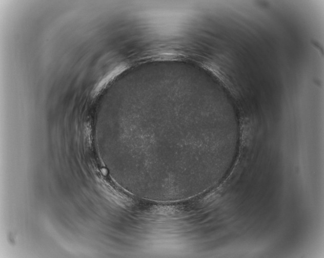 X0000102041402200807251403