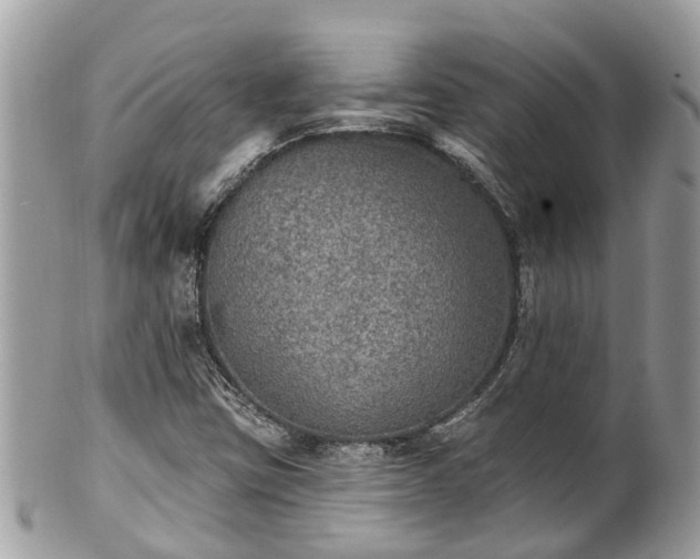 X0000102041403200807251403