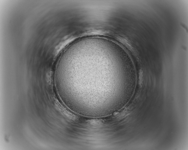 X0000102041404200807251403