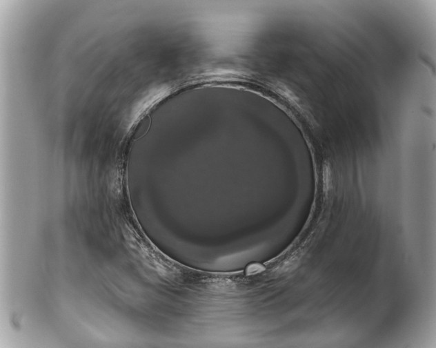 X0000102041405200807251403