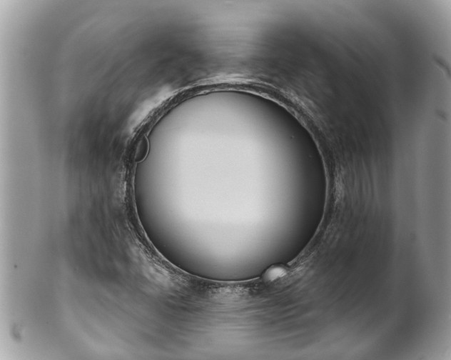 X0000102041406200807251403