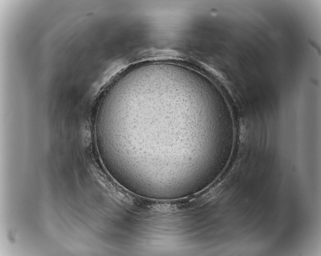 X0000102041407200807251403